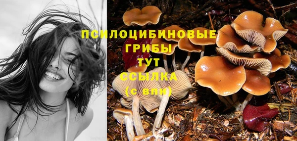 прущая мука Михайлов