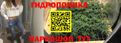 прущие грибы Ливны
