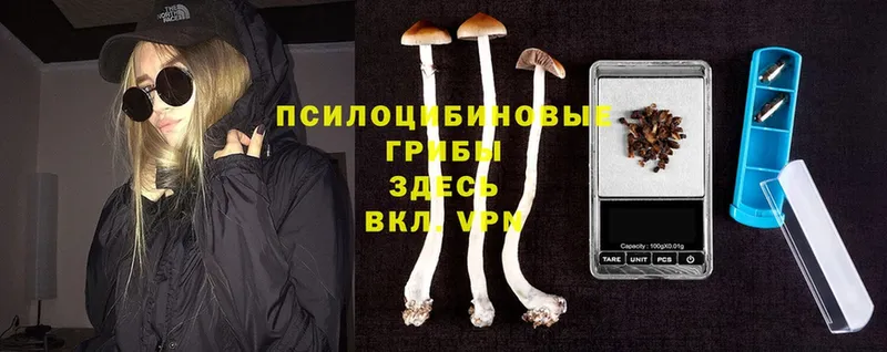 KRAKEN маркетплейс  Муравленко  Псилоцибиновые грибы Magic Shrooms 