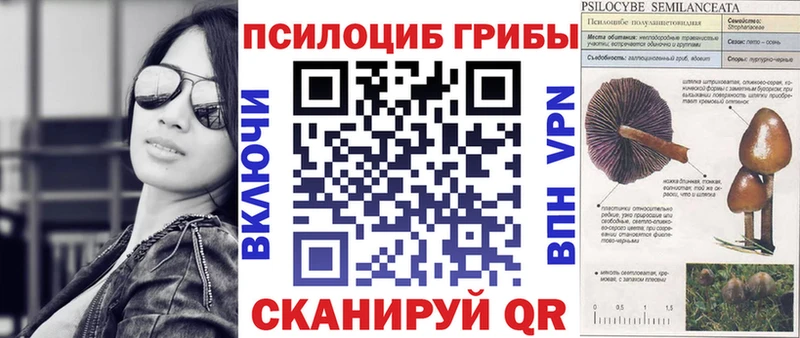 Галлюциногенные грибы мицелий  Муравленко 