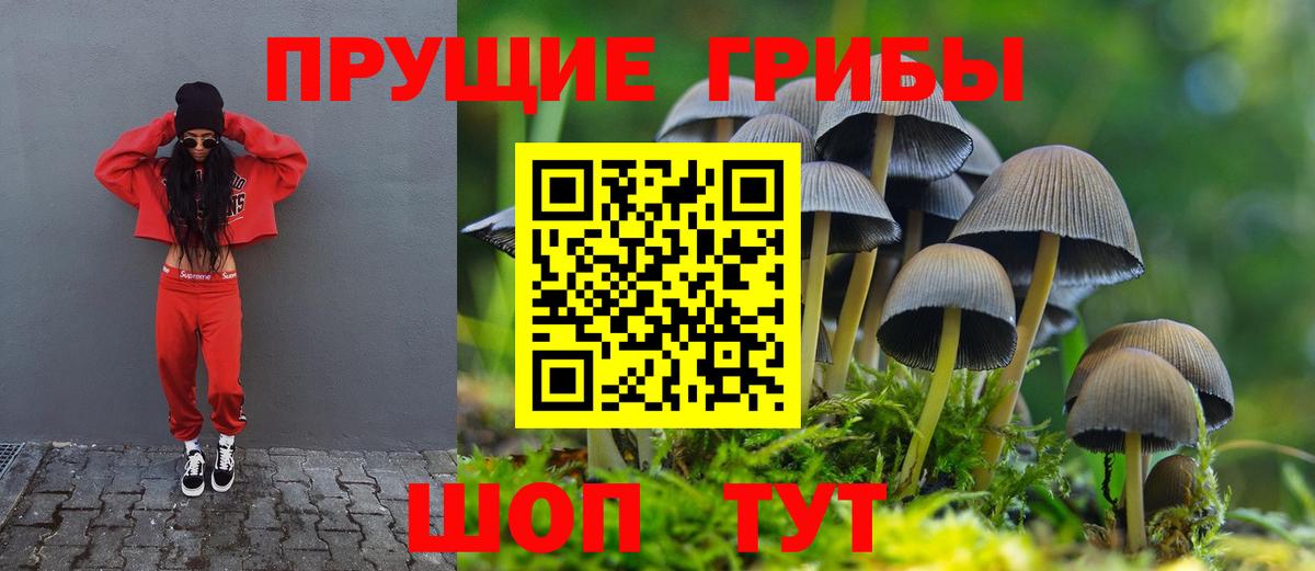 Псилоцибиновые грибы мицелий  Галлюциногенные грибы ЛСД  Вход с VPN  наркотики  Муравленко 